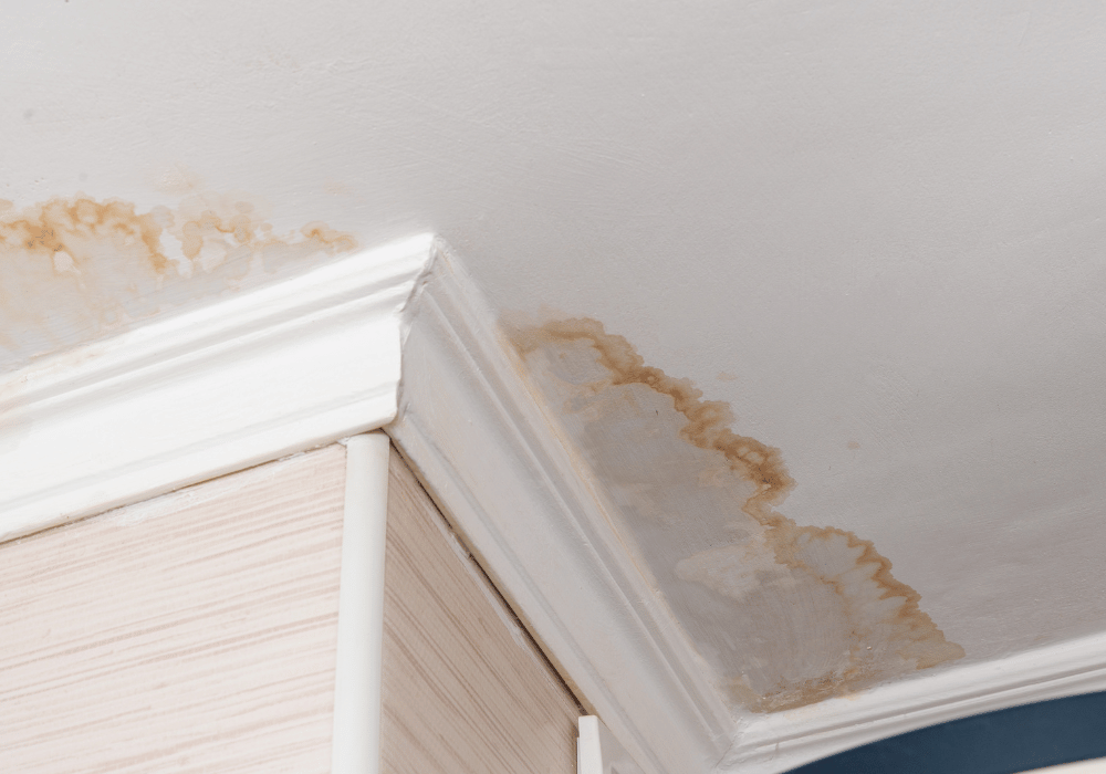 Discolouration On Ceiling